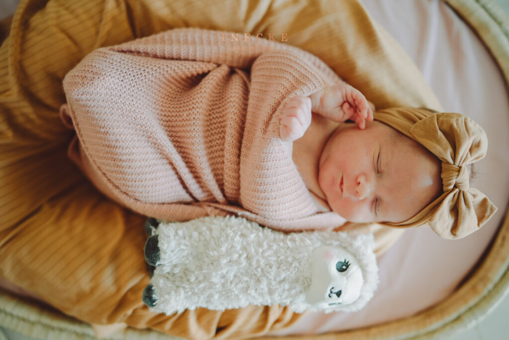 Imilé newborn